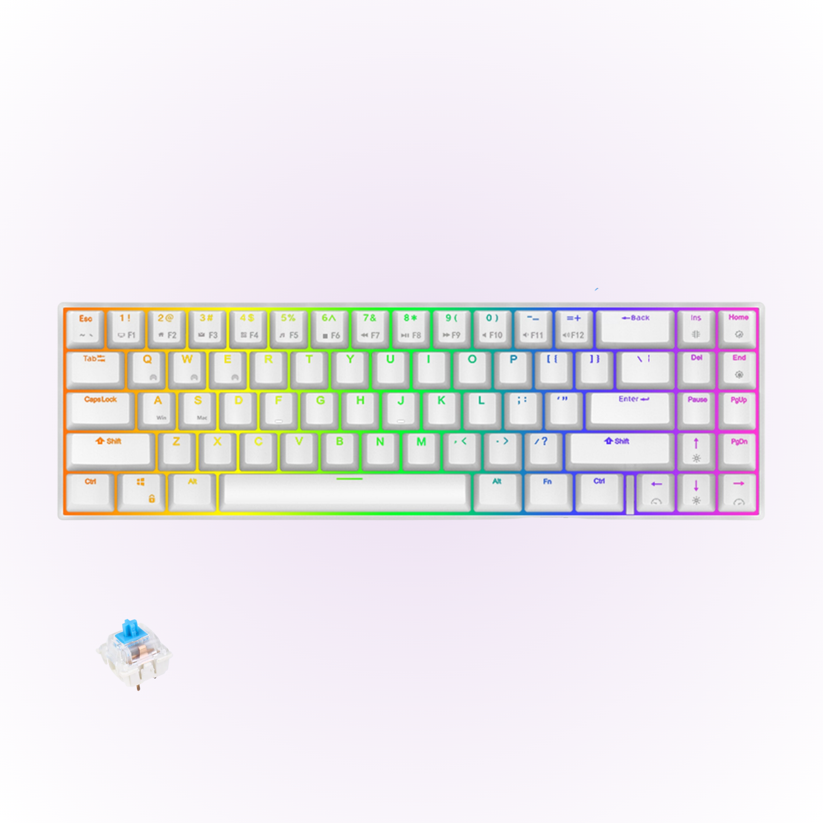 white rk71 mechanical keyboard with blue switches