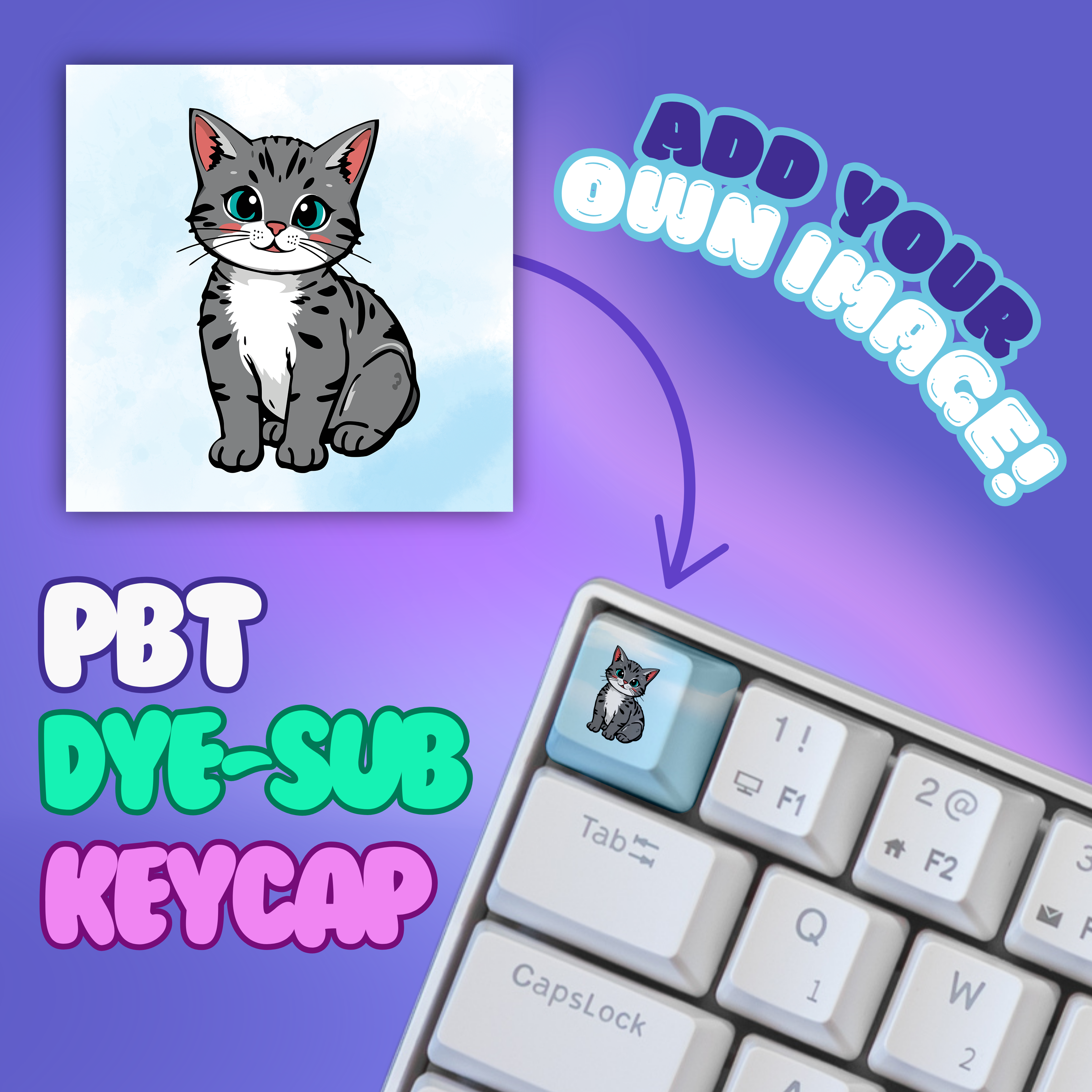 Customizable PBT dye-sub keycap featuring a cartoon gray tabby cat, shown installed on a white keyboard. The graphic includes a sample of the cat illustration and text reading 'ADD YOUR OWN IMAGE!' and 'PBT DYE-SUB KEYCAP' on a purple gradient background.