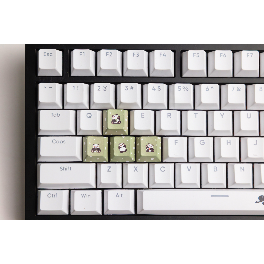 Panda WASD
