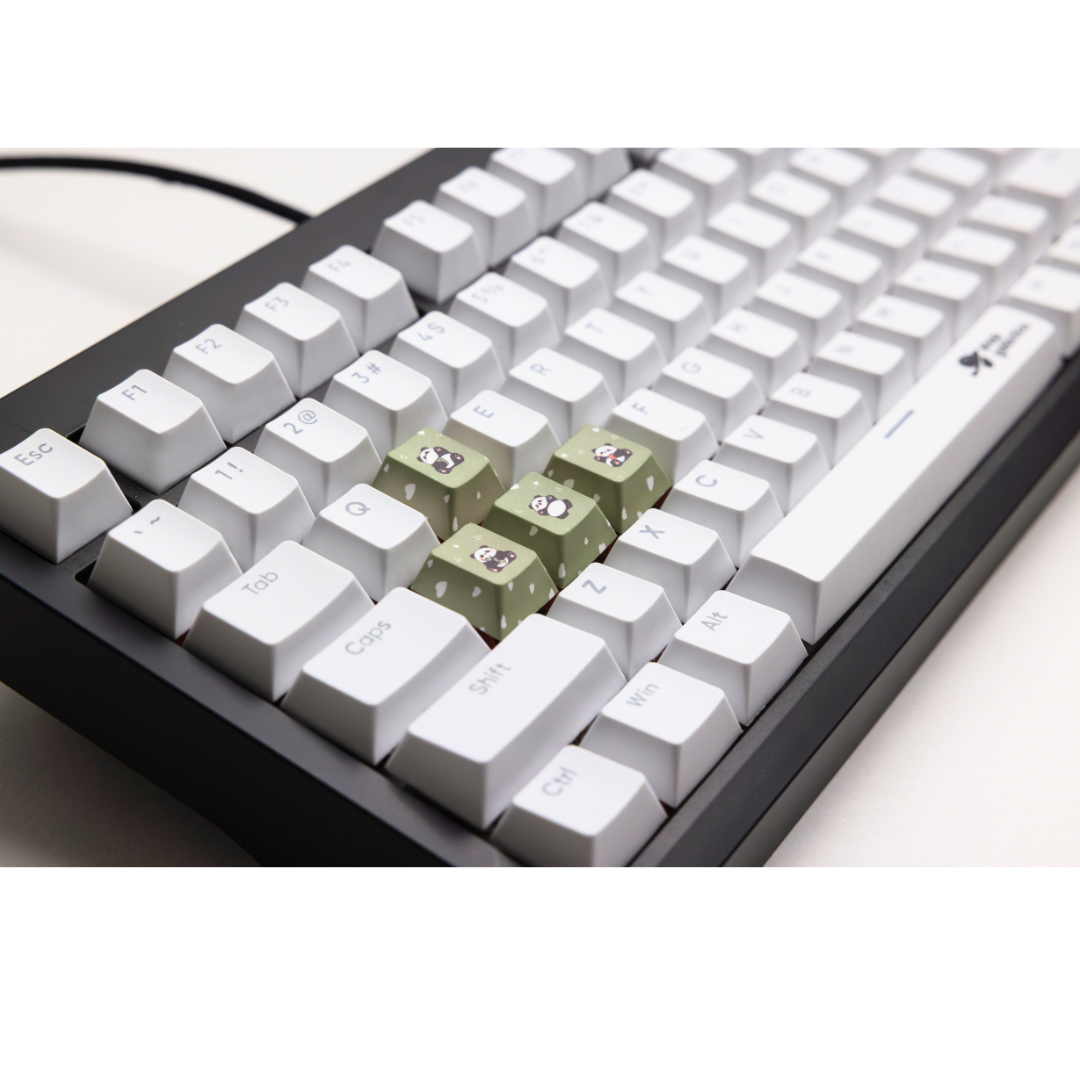 Panda WASD