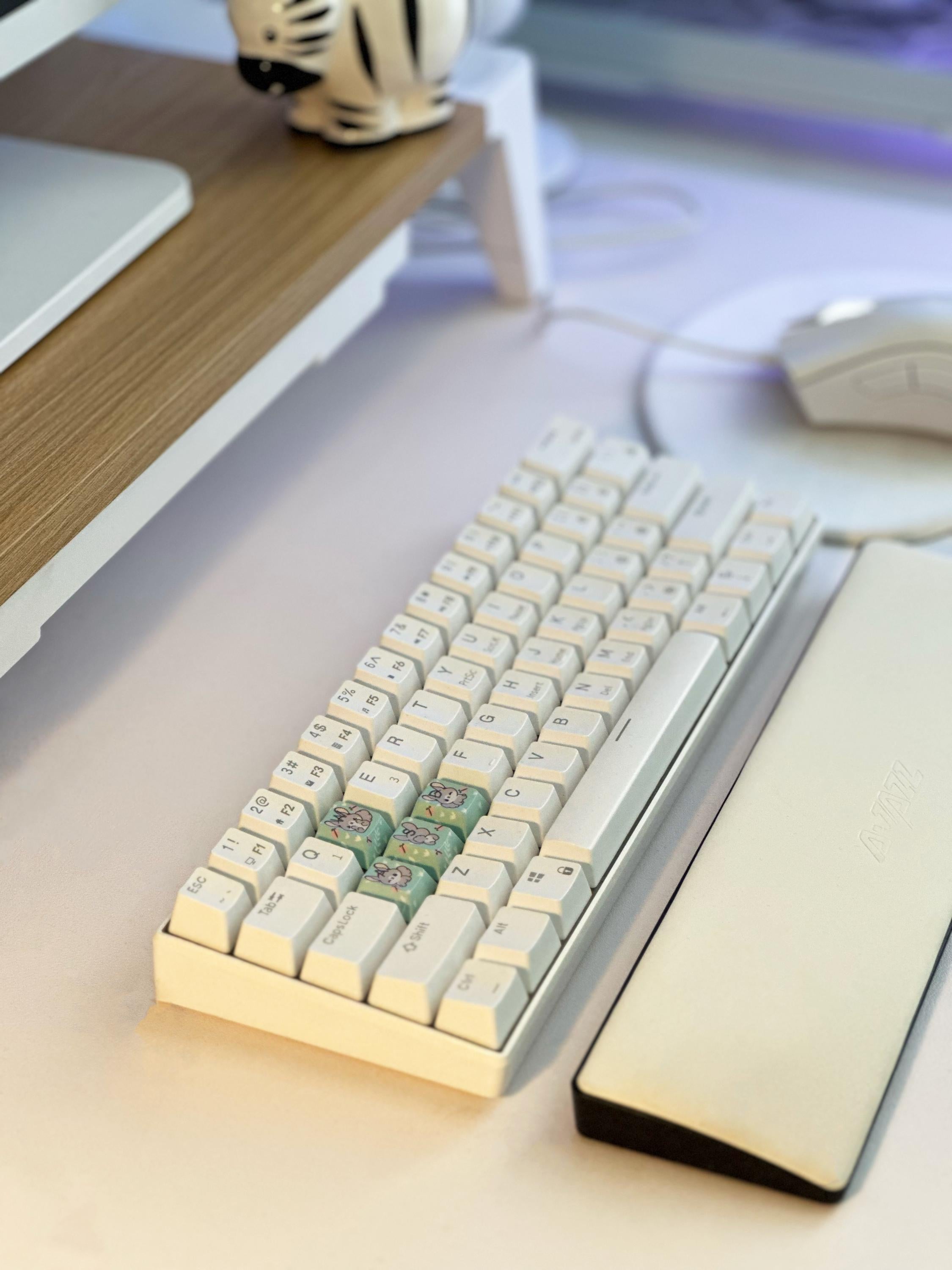 Desk image of mechanical keyboard with blue WASD keycaps girl gamer set up