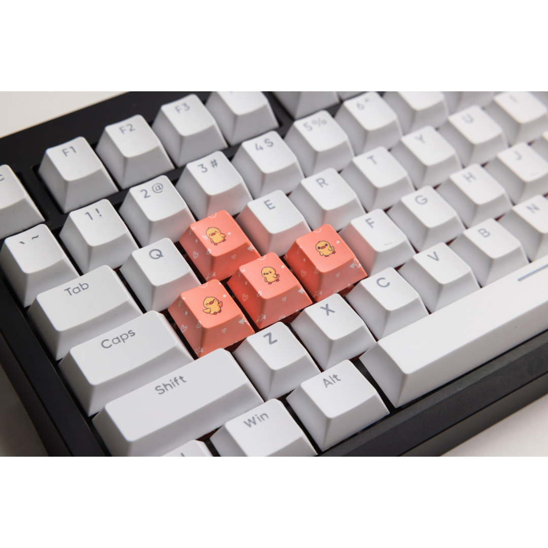 Duck WASD