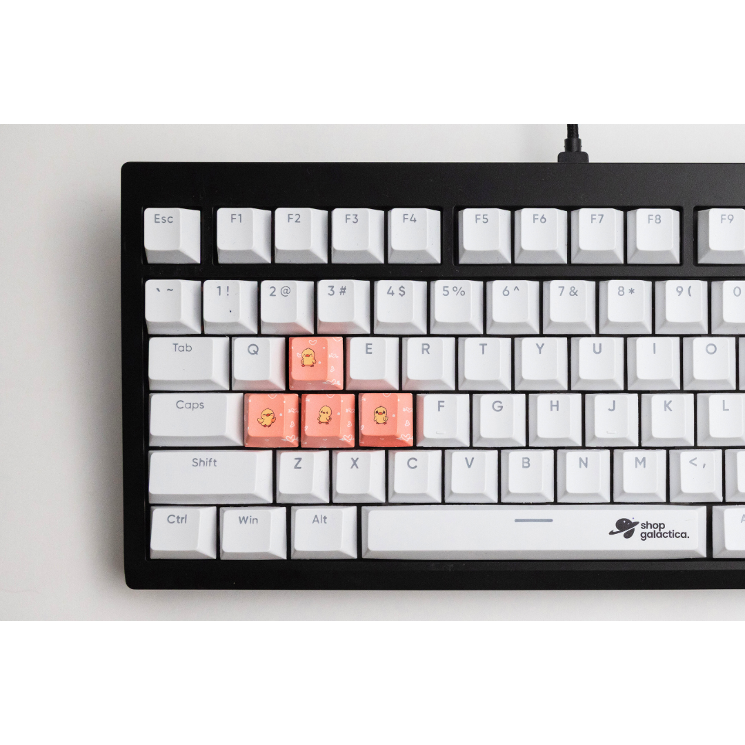 Duck WASD