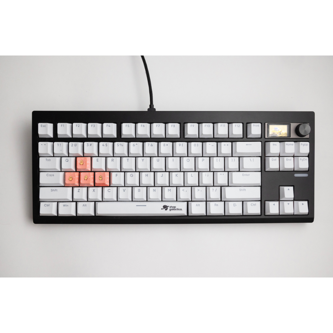 Duck WASD