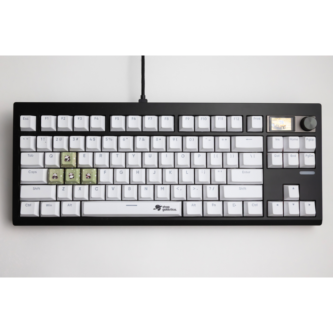 Panda WASD